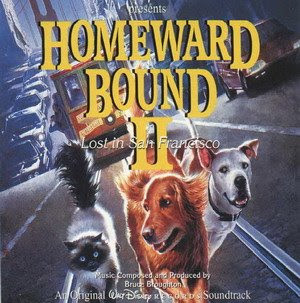 Homeward Bound Sassy