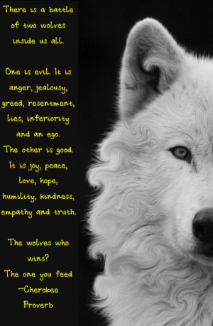 wolves #love #anger #cherokee proverb