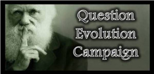 Found on questionevolution.blogspot.com