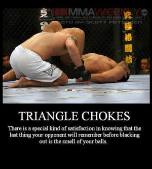 Philosophy of the Triangle Choke