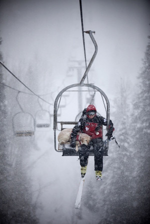 ... usa winter ski winter mountain lifting 7 dogs bk colorado snowboarding