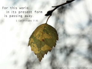 Bible.org's commentary on today's readings in First Corinthians titled ...