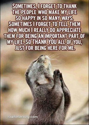 Pinned by Su Shelley