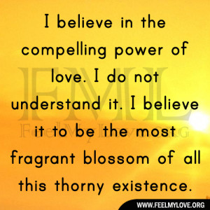 believe in the compelling power of love. I do not understand it. I ...