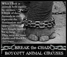Boycott the Circus