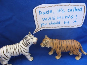 The Tiger of personal hygiene - an Amusing Tableau