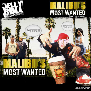 Malibus Most Wanted Dont Be Hatin Jelly Roll picture