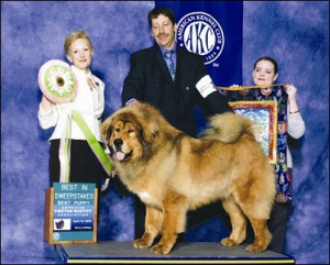 chief osceola quotes