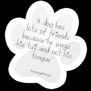 Pet Therapy Quotes