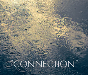 quotes on making connections september 24 2014 leave a comment