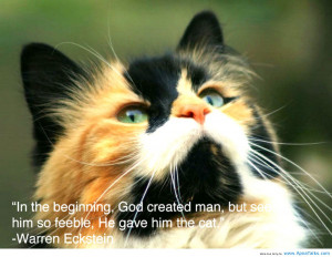 ... The Beginning, God Created Man, But See Him So Feeble - Animal Quote