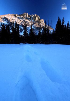 Snowshoeing in fresh powder offers wisdom for life's journey.