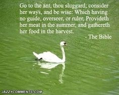 ... quotes quotes bible quotes on inspirational inspirational bible quotes