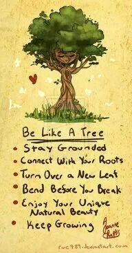 Be like a tree...stay grounded