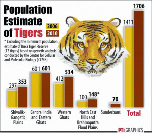 Tiger Census Festival : Big Cat surely did oblige