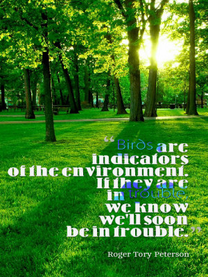 ... Are In Trouble We Know We’ll Soon Be In Trouble - Environment Quote