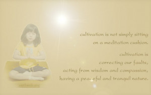 Meditation Quotes - Cultivation is not simply sitting on a meditation ...