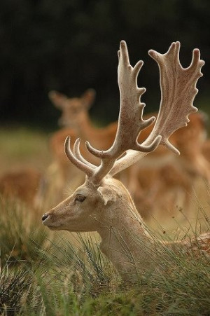 Via Peggy Sollenberger