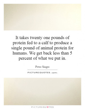 of protein fed to a calf to produce a single pound of animal protein