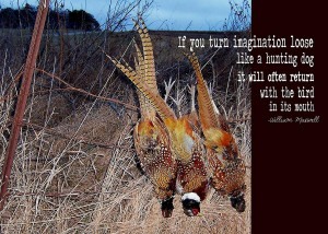 Pheasants Quote Photograph