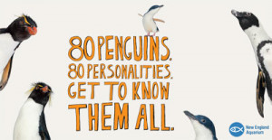 Summer 2010 Campaign: 80 Penguins