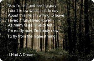 trees lyrics priscilla ahn dream forest cool life quotes