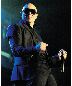 How Much Pitbull Worth Search