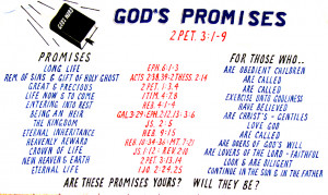 But what promises can we expect from God? Well let's look: