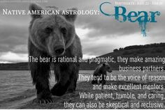 The Bear is rational and pragmatic. They make amazing business ...