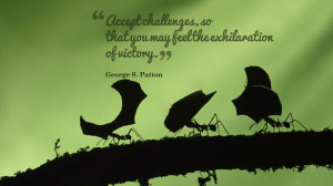 Challenge Quotes #02084, Pictures, Photos, HD Wallpapers