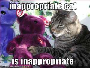 funny-pictures-inappropriate-cat-purple-bear1