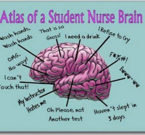 Atlas of a Student Nurse Brain