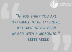 ... you have never in bed with a mosquito.