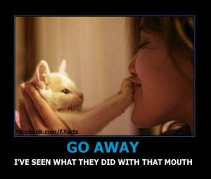 Funny Ugly Quotes http://pics8.this-pic.com/key/funny%20ugly%20quotes