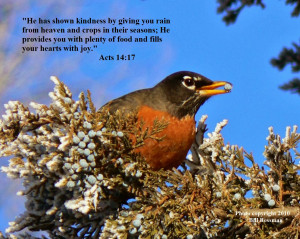 Animals In Heaven Bible Verses Bird photo with bible verse 10