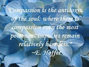 lack of compassion quotes human compassion quotes compassion quotes ...