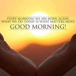 Best Good Morning Quotes Download