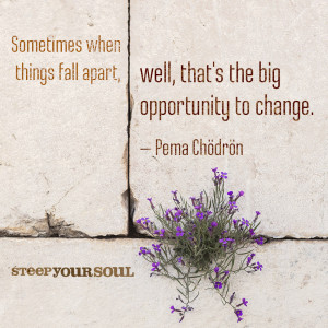 when-things-fall-apart-pema-chodron-daily-quotes-sayings-pictures.jpg