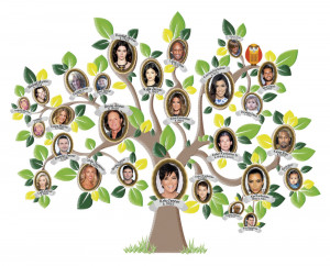 kardashian family tree 2014