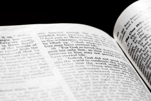 Biblical Sympathy Quotes