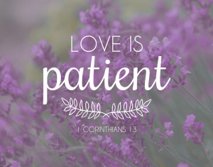 bible verses about love bible quotes about love and patience