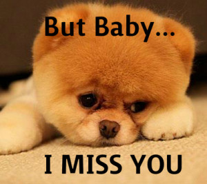 Cute Funny Pictures I Miss You But baby, i miss you - cute