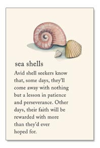 Sea Shells Card by Cardthartic