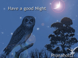 now I bid u a lovely goodnight