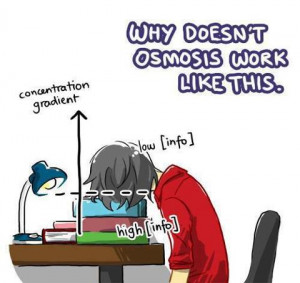 Osmosis : Why Doesn't It Work Like This ?