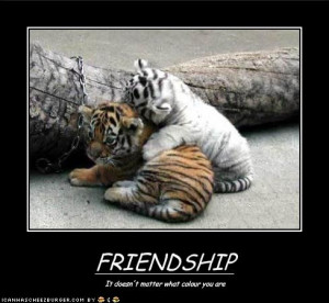 Funny friends pictures, funny friend pictures, funny friend pics