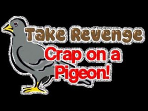 Top 7 Funny Random Sayings Pictures