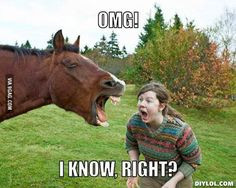 Funny horse with senseless caption More