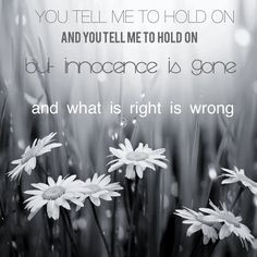 ... white flowers white photography black and white black white covers