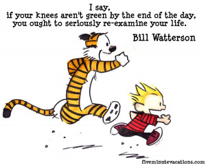 Calvin And Hobbes Quotes About Love For The Love Of Calvin